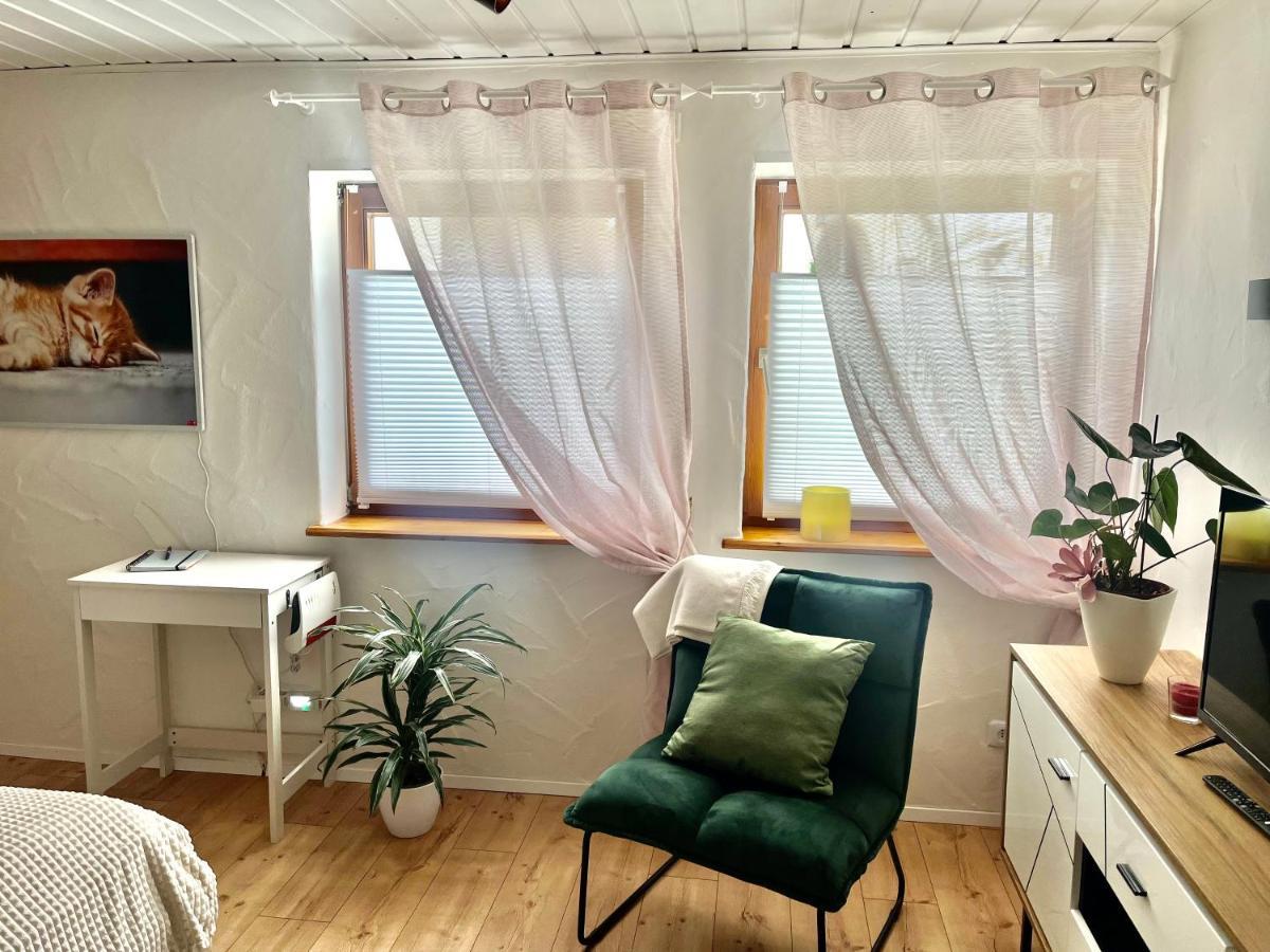 Apartment Balingen City المظهر الخارجي الصورة